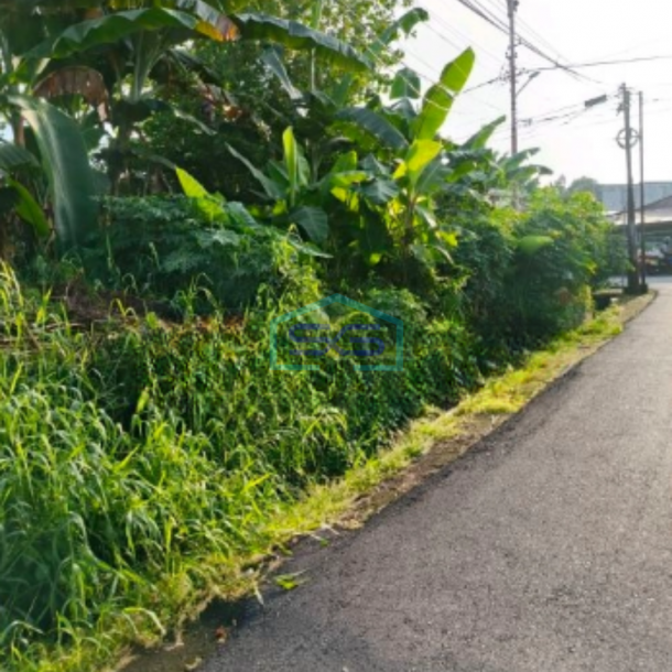 DIjual Tanah Di Malalayang Dekat Ring Road 3 Manado Luas Tanah (PxL)  20000 m²-4