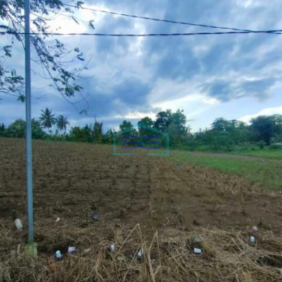DIjual Tanah Di Malalayang Dekat Ring Road 3 Manado Luas Tanah (PxL)  20000 m²