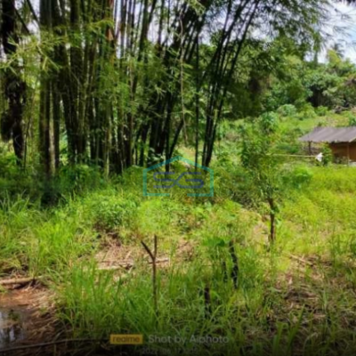 DIjual Tanah Di Malalayang Dekat Ring Road 3 Manado Luas Tanah (PxL)  20000 m²