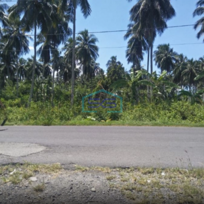 DIjual Tanah 2 H Di Kema Cocok Buat Industri Dan Gudang Kema, Minahasa Utara Luas Tanah (PxL)  20000 m²