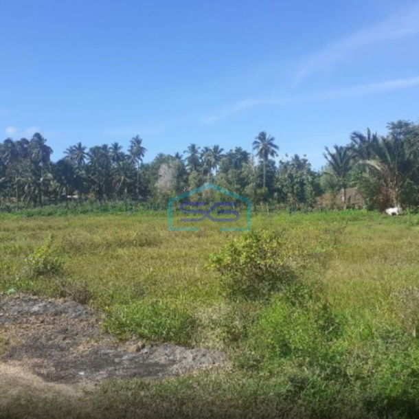 Dijual Tanah di Belakang Pabrik Coca Cola Kauditan Pas For Pabrik Kauditan, Minahasa Utara Luas Tanah 35000m2-3