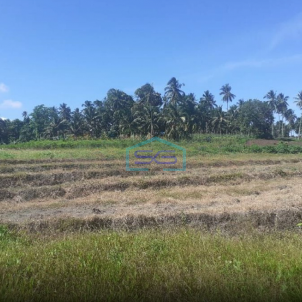 Dijual Tanah di Belakang Pabrik Coca Cola Kauditan Pas For Pabrik Kauditan, Minahasa Utara Luas Tanah 35000m2-2