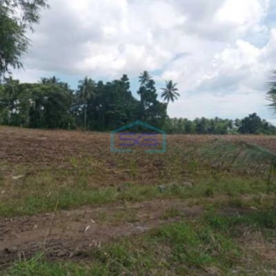 Dijual Tanah 16h Di Wusa Kawasan Wisata Alam Talawaan, Minahasa Utara Luas Tanah (PxL)  160000 m² (