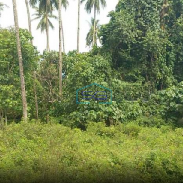 Dijual Tanah 16h Di Wusa Kawasan Wisata Alam Talawaan, Minahasa Utara Luas Tanah (PxL)  160000 m² (-1