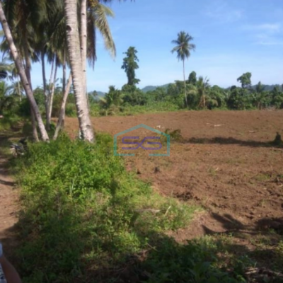 Dijual Tanah 16hektar Di Wusa Dekat Bandara Samrat Minahasa Utara Luas Tanah (PxL)  160000 m²