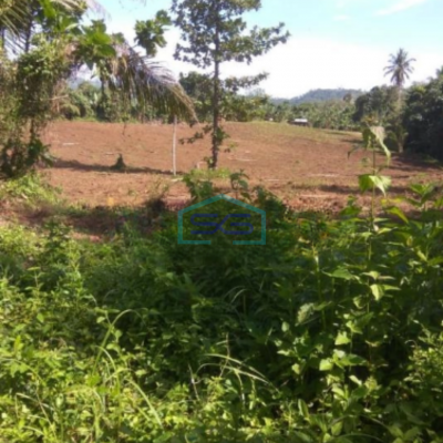 Dijual Tanah 16hektar Di Wusa Dekat Bandara Samrat Minahasa Utara Luas Tanah (PxL)  160000 m²