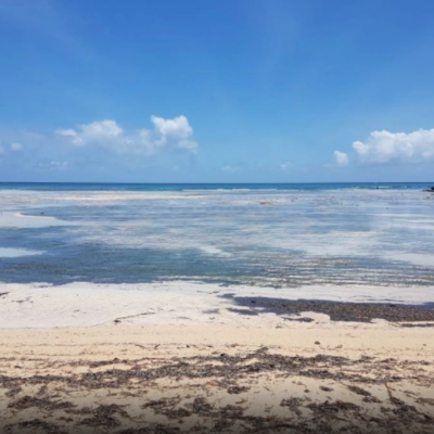 Dijual Tanah Komersial Di Area Wisata Khusus Pantai Pulisan Kalinaun Likupang Timur, Minahasa Utara Luas Tanah 107911m2