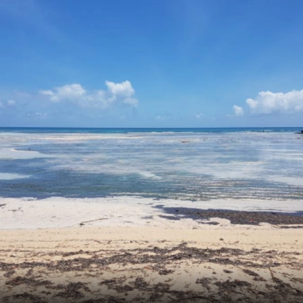 Dijual Tanah Komersial Di Area Wisata Khusus Pantai Pulisan Kalinaun Likupang Timur, Minahasa Utara Luas Tanah 107911m2-2