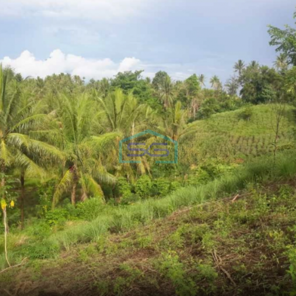 Dijual Tanah Di Likupang Cocok Buat Perkebunan Likupang Timur, Minahasa Utara Luas Tanah (PxL)  700000 m²-2