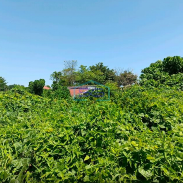 Disewakan Tanah Di Samping Kantor Gubernur Wanea, Manado Luas Tanah (PxL)  5000 m²-1