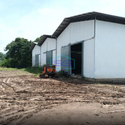 Disewakan Gudang di Kairagi Kota Manado Buat Ekspedisi Distributor Mapanget, Manado Luas Bangunan  576 m²