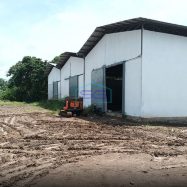 Disewakan Gudang di Kairagi Kota Manado Buat Ekspedisi Distributor Mapanget, Manado Luas Bangunan  576 m²-1