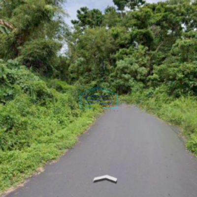 Dijual Tanah 10~20 H Di Pandu Cocok Buat Kantor Gudang Mapanget, Manado Luas Tanah (PxL)  110000 m²