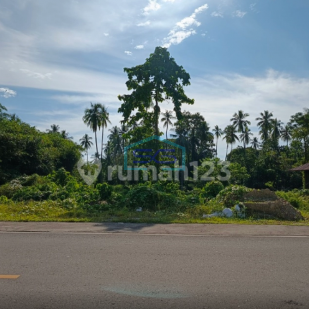 Dijual Tanah 5h~100h Di Ring Road 3 Di Malalayang Manado Luas Tanah (PxL)  100000 m²-1