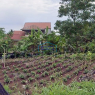 Dijual Tanah 8731m2 Di Kalasey Mandolang, Minahasa Luas Tanah (PxL)  8731 m²