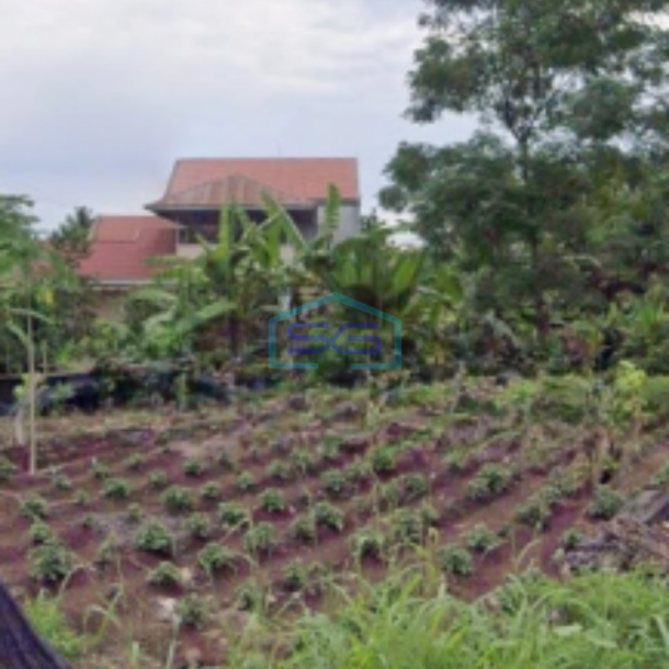 Dijual Tanah 8731m2 Di Kalasey Mandolang, Minahasa Luas Tanah (PxL)  8731 m²-2