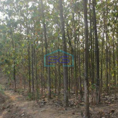 Dijual Tanah murah di Gondangrejo, karanganyar