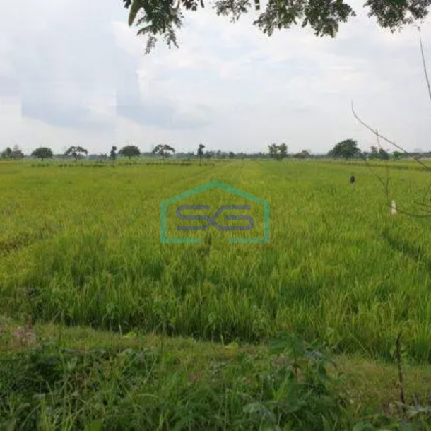 Dijual Tanah sawah di baki dekat solobaru-1