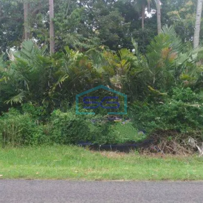 Dijual Tanah bagus di jumantono, arah ke tawangmangu