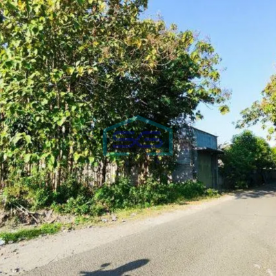 Dijual Tanah pekarangan strategis bonus 50 pohon jati di tasikmadu karanganyar