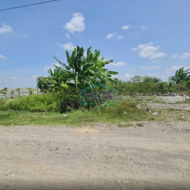 Dijual Tanah Zona Kuning Untuk Industri di Grogol Dekat Solo Baru LT 12215m2-1