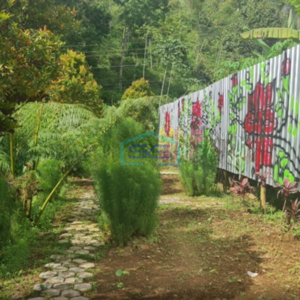 Dijual Tanah Bagus Untuk Usaha di Kemuning Ngargoyoso Karanganyar Solo LT 1370m2-2