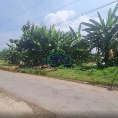 Dijual Tanah Siap Bangun Lokasi Di Kadilangu Dekat Solo Baru Luas 8640m2