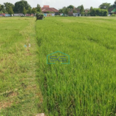 Dijual Tanah Pekarangan Murah Strategis di Colomadu Karanganyar Solo LT 2760m2