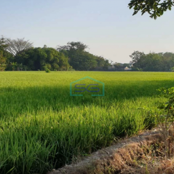 Dijual Tanah Kering Siap Bangun di Jalan Raya Solo Tawangmangu Karanganyar Solo LT 20776m2-3