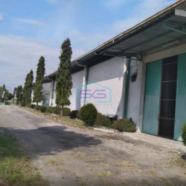 Disewakan Gudang Strategis kawasan industri di Sidoharjo Masaran Sragen LB 16000m2-5