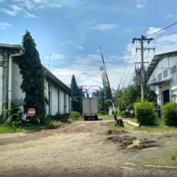 Disewakan Gudang Strategis kawasan industri di Sidoharjo Masaran Sragen LB 16000m2-4