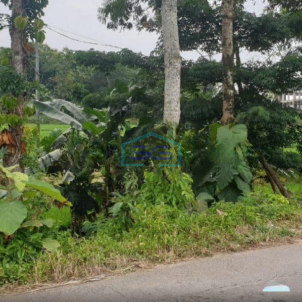 Dijual Tanah Murah di Karangpandan Solo Luas Tanah 2300m2 SHM-2