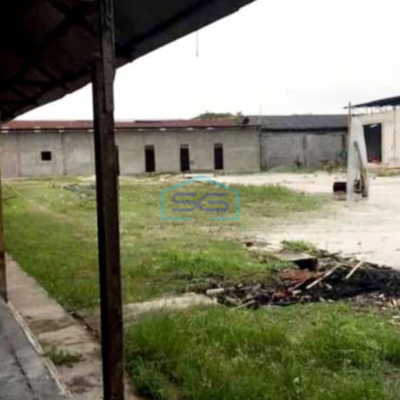 Dijual Tanah Luas  4000 m² Lokasi Teluk Naga Tangerang