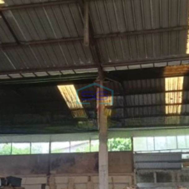 Disewakan Gudang Lokasi Bebas Banjir di Daan Mogot Jakarta Barat Luas Bangunan 540 m²-1