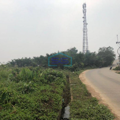 Dijual Tanah di Parung Panjang Bogor LT 9476m2