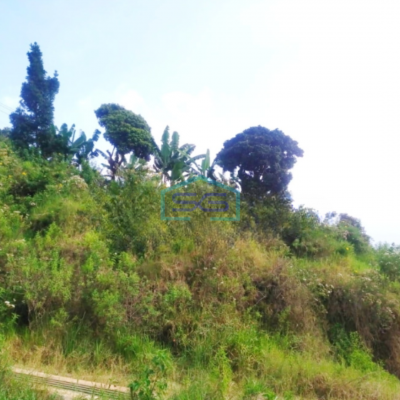 Dijual Tanah Bojong Koneng Dekat Proyek Intiland Mayapada Luas Tanah 40000m2-2