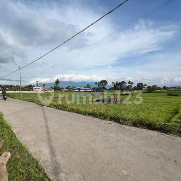 Dijual Tanah Garut Banyuresmi Luas Tanah 3202 m²-2