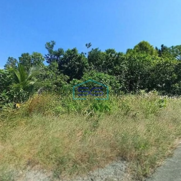 Dijual Tanah Di Pulau Maratua Berau Luas Tanah 18409 m²-2