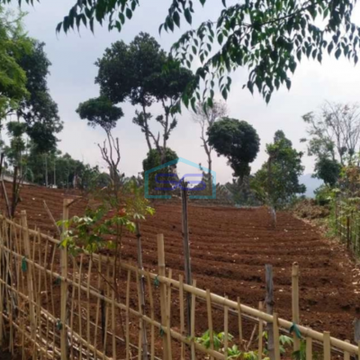 Dijual Tanah Di Soreang Dekat Taman Love Bandung Luas Tanah 4553 m²