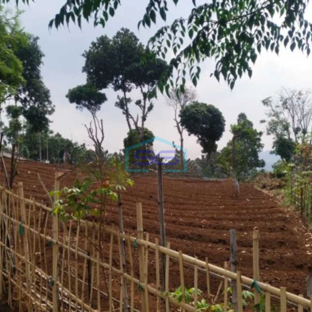 Dijual Tanah Di Soreang Dekat Taman Love Bandung Luas Tanah 4553 m²-3