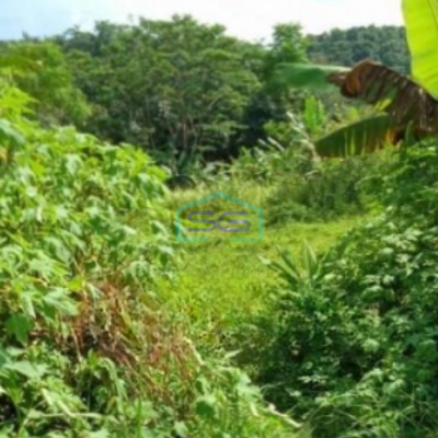 Dijual Tanah Di Cijengkol Cianjur Luas Tanah 19300m2