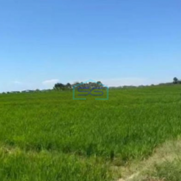 Dijual Tanah Kertajati Desa Kertasari Blok Kaso Tanah Lokasi Sangat Dekat bandara Kertajati-1