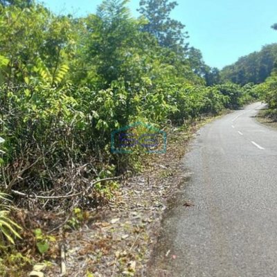 Dijual Tanah Di Maratua Kavling Lokasi Disampingnya Arasatu Resort Sebelah Selatan