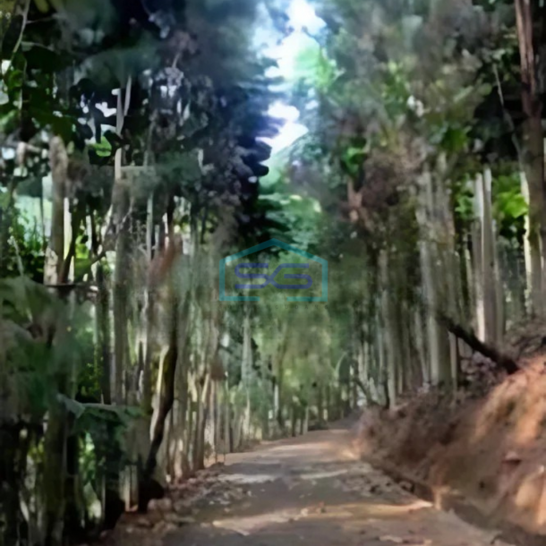 Dijual Tanah di Desa Mekar Wangi Bandung Luas Tanah 50000 m²-3