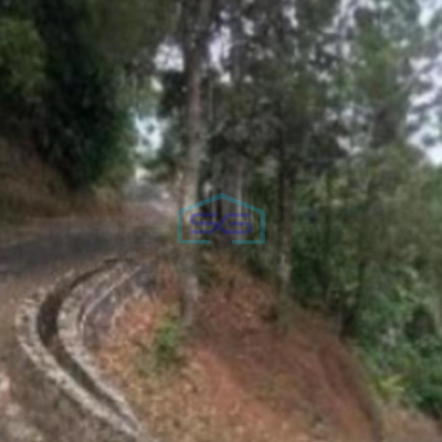 Dijual Tanah di Desa Mekar Wangi Bandung Luas Tanah 50000 m²