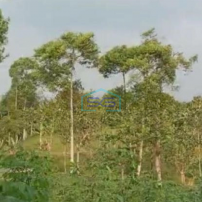 Dijual Tanah Di Cibiru Bandung Luas Tanah 10000m2