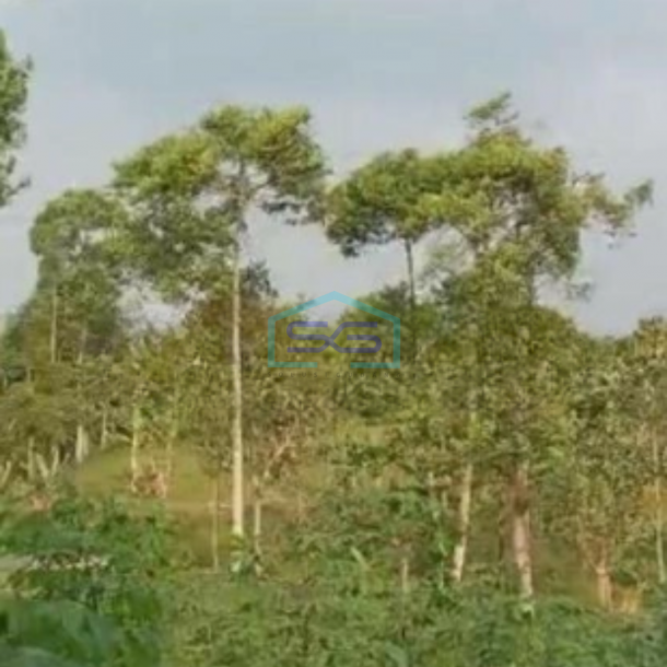 Dijual Tanah Di Cibiru Bandung Luas Tanah 10000m2-1