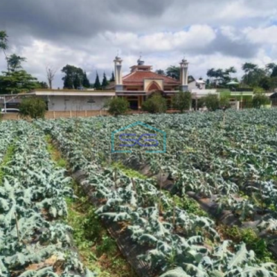 Dijual Tanah Di Lembang dekat The Lodge Dan Fairy Garden Maribaya Luas Tanah 8750 m²