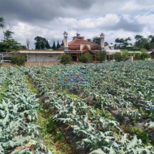 Dijual Tanah Di Lembang dekat The Lodge Dan Fairy Garden Maribaya Luas Tanah 8750 m²-3