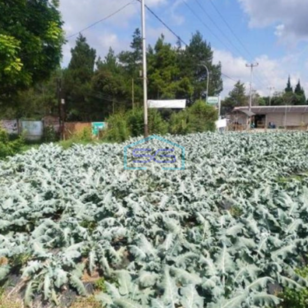 Dijual Tanah Di Lembang dekat The Lodge Dan Fairy Garden Maribaya Luas Tanah 8750 m²-1